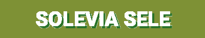 Solevia Select | Outdoor, Fashion, Everyday & Sports Footwear for All Walks